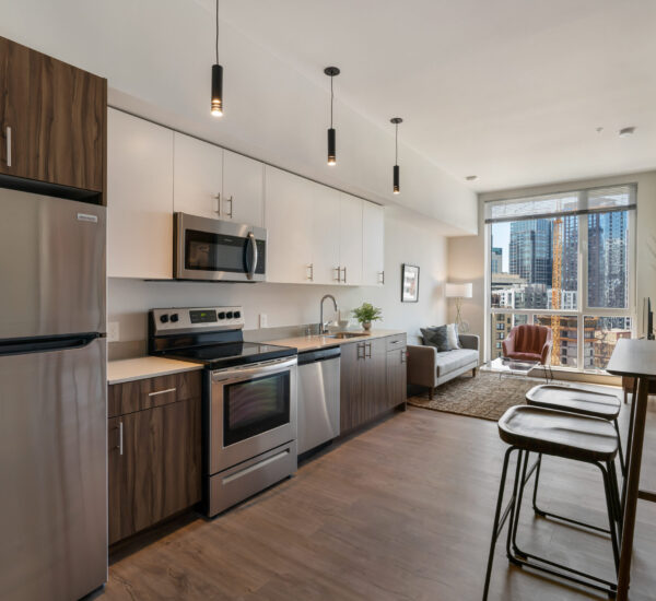 Kitchen and living room